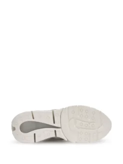 Women Palm Angels Racing Palm Web Sneakers -Nike || Ugg || Gucci Shoes Shop 20155554 50143275 1000